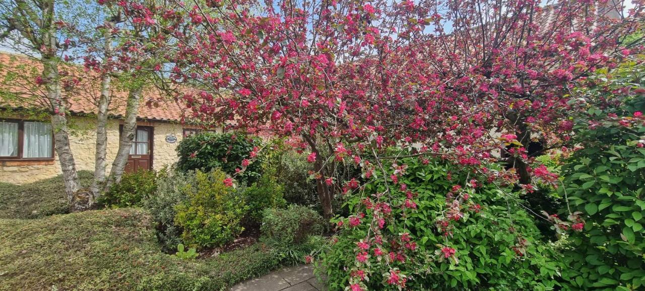 Osprey Meadow Holiday Cottages Bedale Eksteriør billede